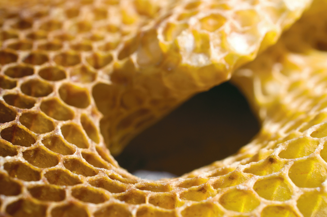 Honeycomb
